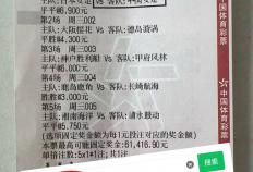 西甲焦点战：马洛卡迎战维戈塞尔塔