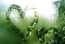 今日足球：拉齐奥vs热那亚 科隆vs沃尔夫斯堡