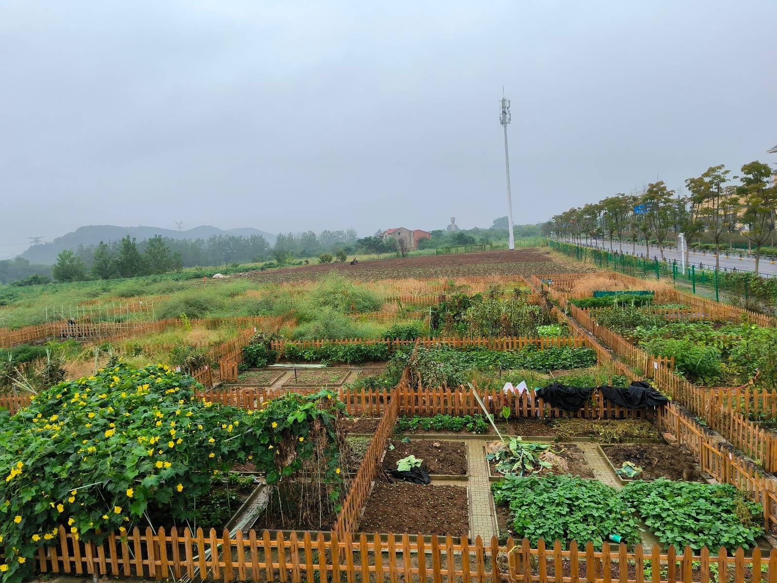 “漢(hàn)超”来了个村(cūn)支书:6年前(qián)他(tā)带村(cūn)民辦(bàn)“村(cūn)超”