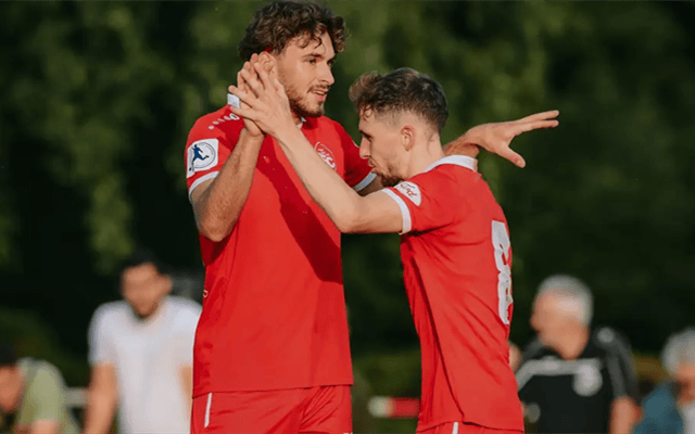 德甲(jiǎ):霍(huò)芬海(hǎi)姆表现跳跃,海(hǎi)登海(hǎi)默状态尴尬